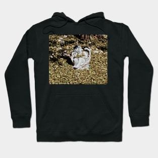 Sleeping Angel Hoodie